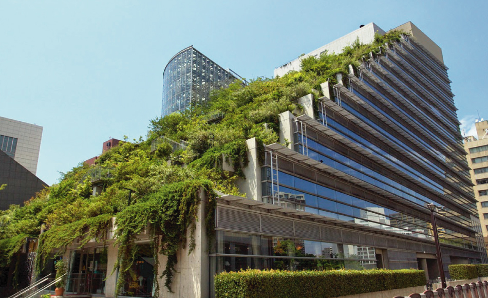 Edificio verde ubicado en Fukuoka