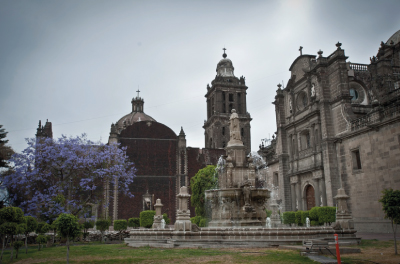 Jardn de la Catedral Metropolitana